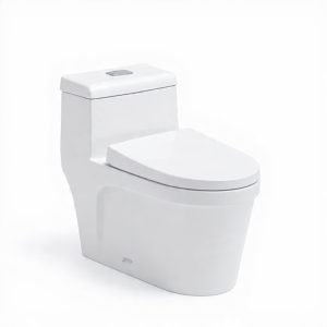 Bồn Cầu 1 Khối TTCERA