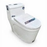 Bồn Cầu 1 Khối hoLer