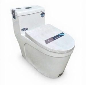 Bồn Cầu 1 Khối hoLer
