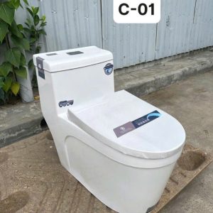 BỒN CẦU 1 KHỐI C-01